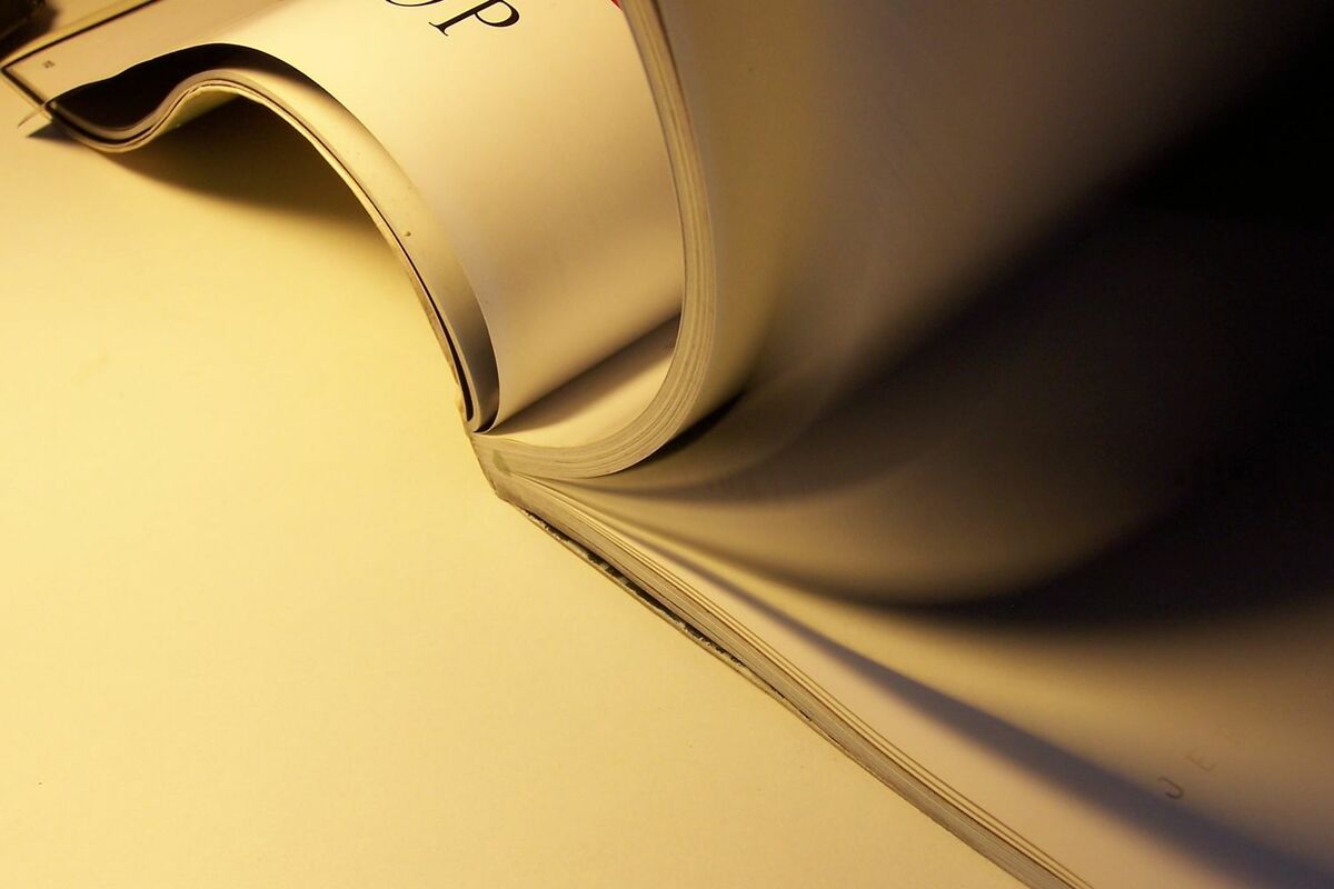 Lettre d'information N°3