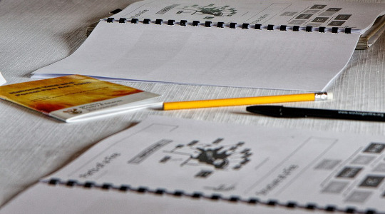 Situation des professeurs documentalistes