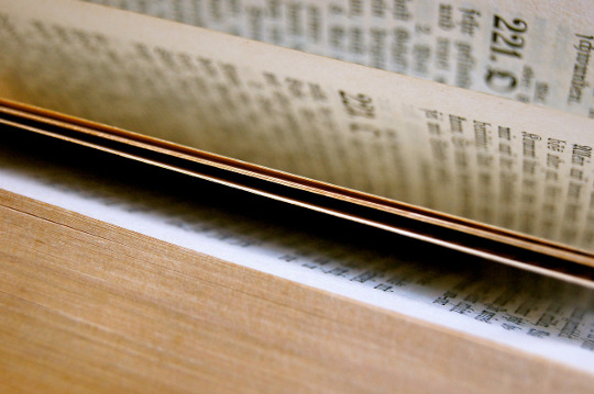 Vers un curriculum en information-documentation - Chapitre 2