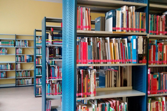 L'A.P.D.E.N. à l'international