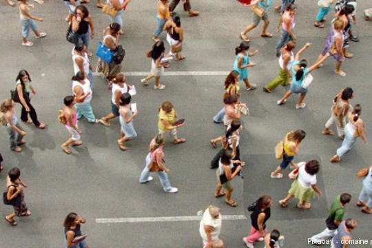 Construire une véritable culture commune